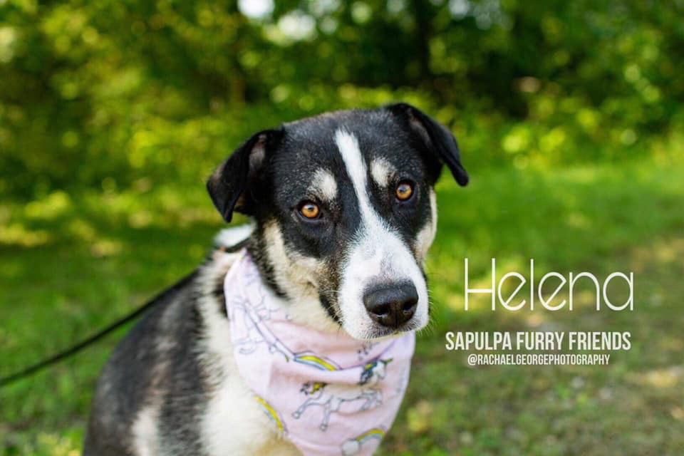 Helena